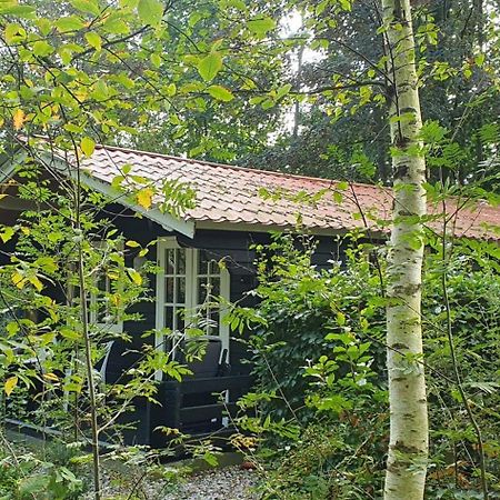 Zizania Villa Noord-Sleen Exterior photo
